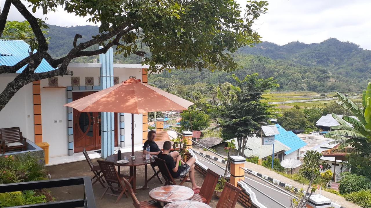 Bintang Bungalow Tour & Travel Kelimutu Exterior foto
