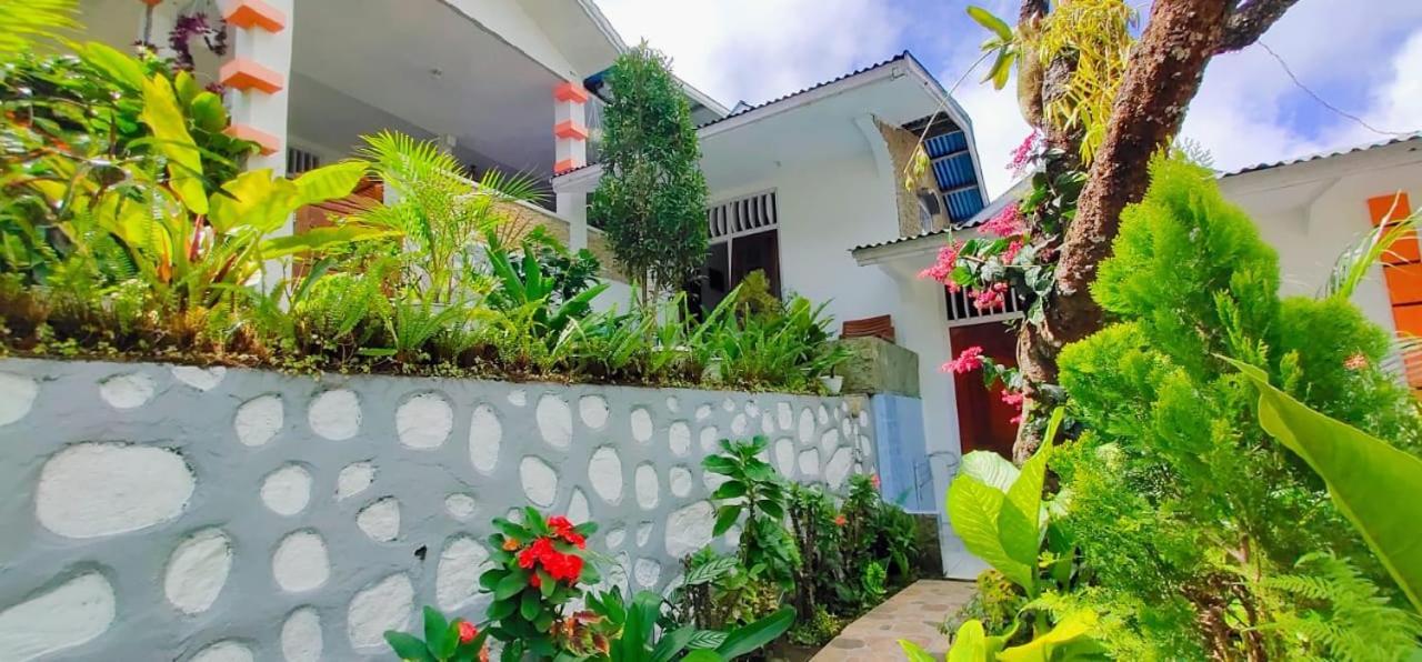 Bintang Bungalow Tour & Travel Kelimutu Exterior foto