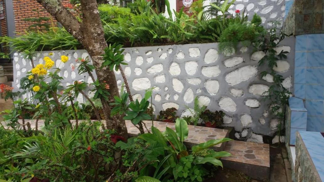Bintang Bungalow Tour & Travel Kelimutu Exterior foto